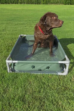 Bestway Hunde- Og Katteartikler|Fetchin' Fun legepool og seng