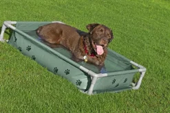 Bestway Hunde- Og Katteartikler|Fetchin' Fun legepool og seng