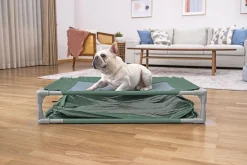 Bestway Hunde- Og Katteartikler|Fetchin' Fun legepool og seng