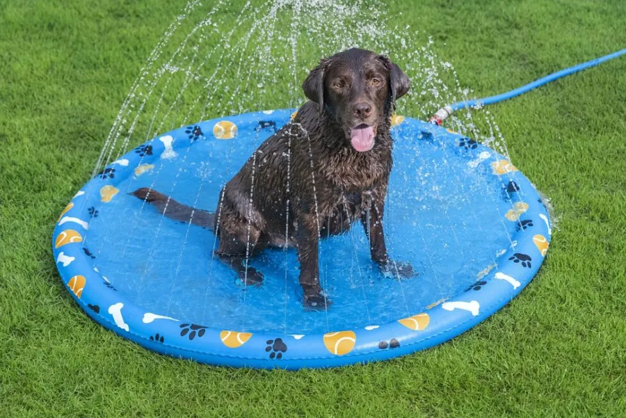 Bestway Hunde- Og Katteartikler|Fetchin' Fun plaskedug