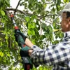 Bosch Beskæring|AdvancedPrune 18V-45 beskæresaks