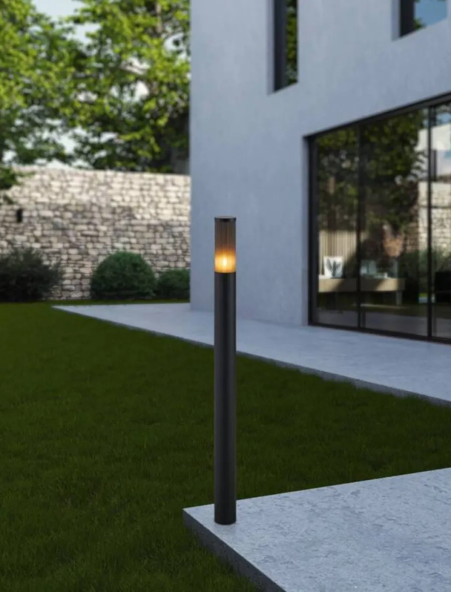 Eglo Udendørslamper|Salle standerlampe sort 110 cm Sort/transparent