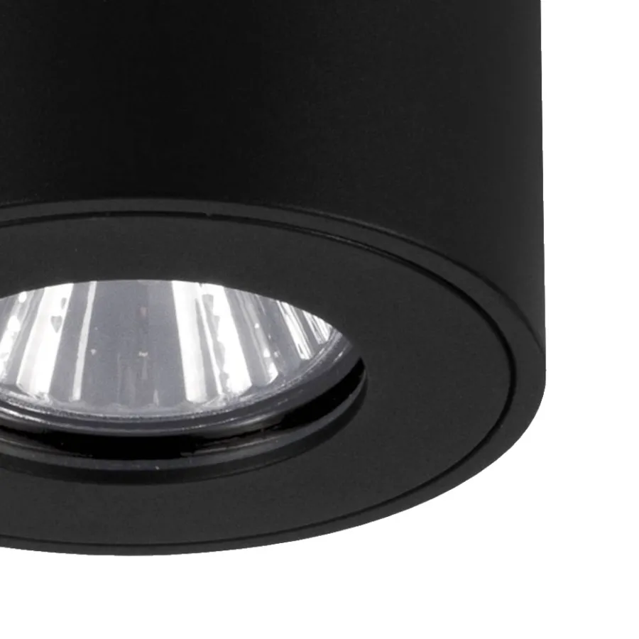 Eglo Udendørslamper|Torrecola loftlampe rund Sort