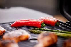 Grillexpert® Elgrill|Elgrill 2200 W 101 x 47 x 34,8 cm -