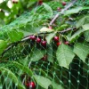 Garden® Fugle- & Insektnet|Fuglenet 2 x 5 meter -