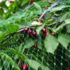 Garden® Fugle- & Insektnet|Fuglenet 8 x 8 meter -