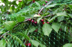 Garden® Fugle- & Insektnet|Fuglenet 4 x 5 meter -