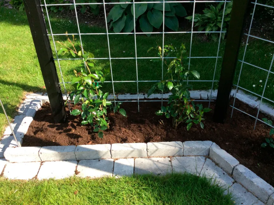 Rionet|Galvaniseret armeringsnet - 5 mm