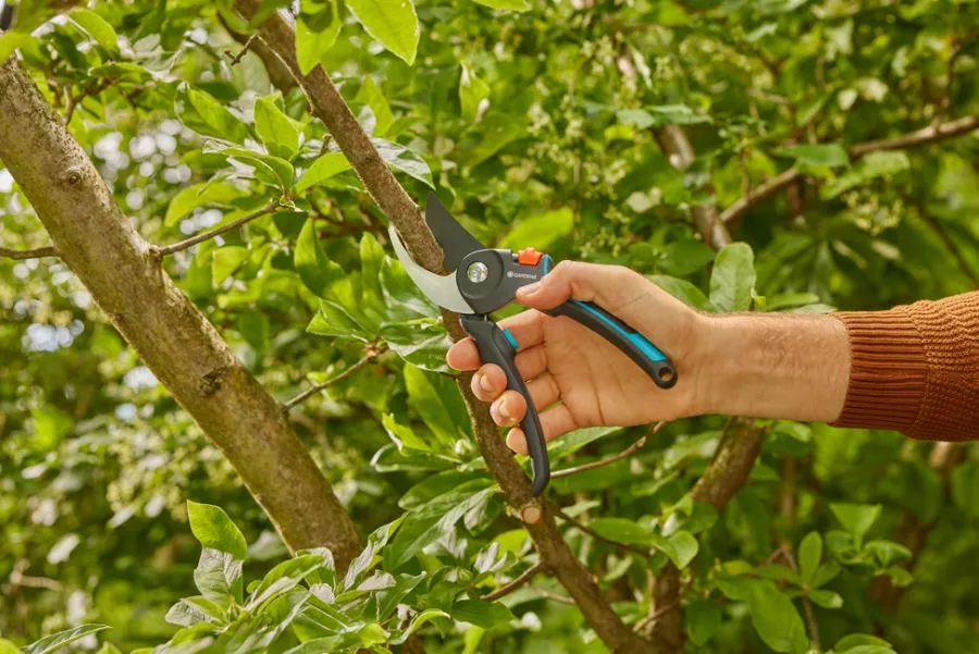 GARDENA Beskæring|beskæresaks PremiumCut Pro
