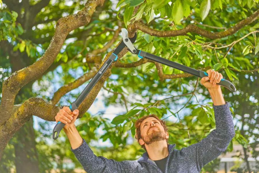 GARDENA Beskæring|grensaks EnergyCut Pro L