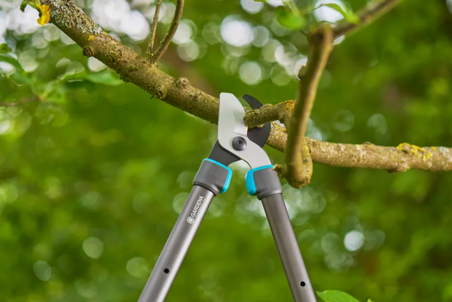 GARDENA Beskæring|grensaks Telecut Pro S
