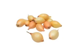 Grønne Fingre® Løg|stikløg gule løg Sturon 250 g