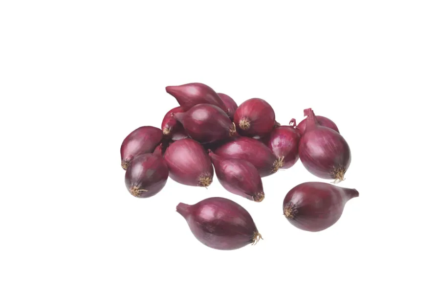 Grønne Fingre® Løg|stikløg rødløg 'Red Baron' 250 g