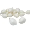 Grønne Fingre® Løg|stikløg salatløg Snowball 250 g