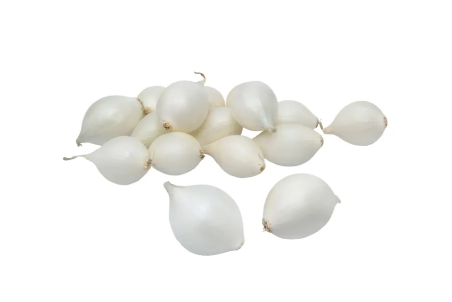 Grønne Fingre® Løg|stikløg salatløg Snowball 250 g