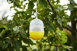 Garden® Fælder|Insektmidler|Hvepsefælde -