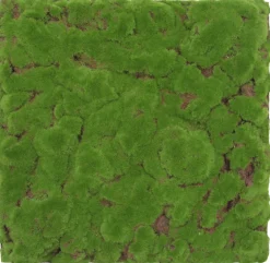 Jangal Grønne Vægpaneler|Akustikpaneler & Tilbehør|Modular Wall mospanel 52 x 52 cm - Forrest Green Bulk