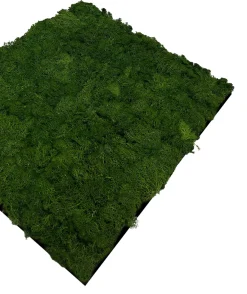 Jangal Grønne Vægpaneler|Akustikpaneler & Tilbehør|Modular Wall mospanel 52 x 52 cm - Dark Green Dark Green Moss