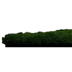 Jangal Grønne Vægpaneler|Akustikpaneler & Tilbehør|Modular Wall mospanel 52 x 52 cm - Dark Green Dark Green Moss