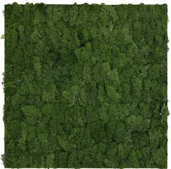 Jangal Grønne Vægpaneler|Akustikpaneler & Tilbehør|Modular Wall mospanel 52 x 52 cm - Dark Green Dark Green Moss