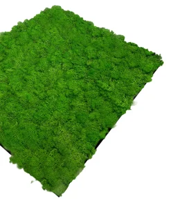 Jangal Grønne Vægpaneler|Akustikpaneler & Tilbehør|Modular Wall mospanel 52 x 52 cm - Rich Green Rich Green Moss