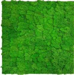 Jangal Grønne Vægpaneler|Akustikpaneler & Tilbehør|Modular Wall mospanel 52 x 52 cm - Rich Green Rich Green Moss