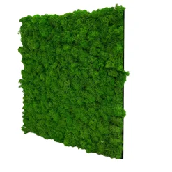 Jangal Grønne Vægpaneler|Akustikpaneler & Tilbehør|Modular Wall mospanel 52 x 52 cm - Rich Green Rich Green Moss