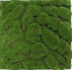 Jangal Akustikpaneler & Tilbehør|Grønne Vægpaneler|Modular Wall mospanel 52 x 52 cm - Dark Green Bulk