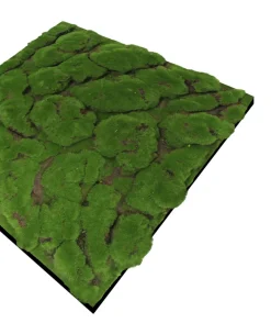 Jangal Akustikpaneler & Tilbehør|Grønne Vægpaneler|Modular Wall mospanel 52 x 52 cm - Dark Green Bulk