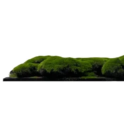 Jangal Akustikpaneler & Tilbehør|Grønne Vægpaneler|Modular Wall mospanel 52 x 52 cm - Dark Green Bulk