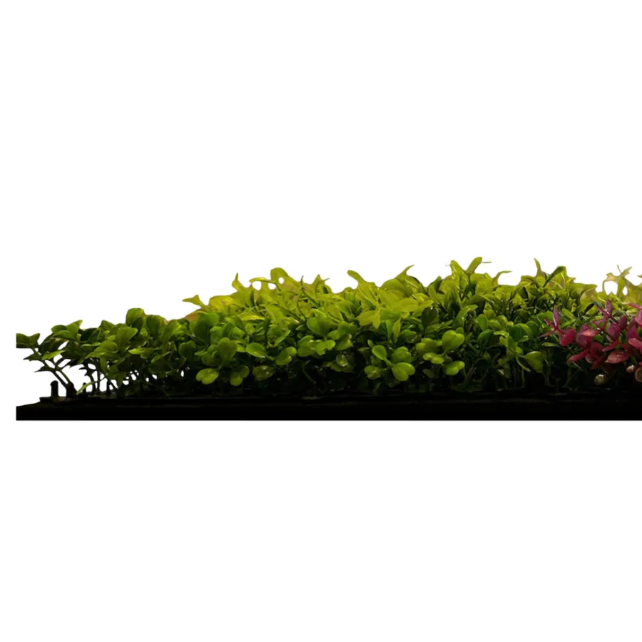 Jangal Grønne Vægpaneler|Akustikpaneler & Tilbehør|Modular Wall plantepanel 52 x 52 cm - Pink Mix