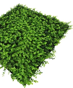 Jangal Grønne Vægpaneler|Akustikpaneler & Tilbehør|Modular Wall plantepanel 52 x 52 cm - Buxus