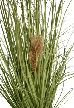 Sæsonafslutning|Kunstige Planter|Kunstgræs med ægte pampas 120 cm
