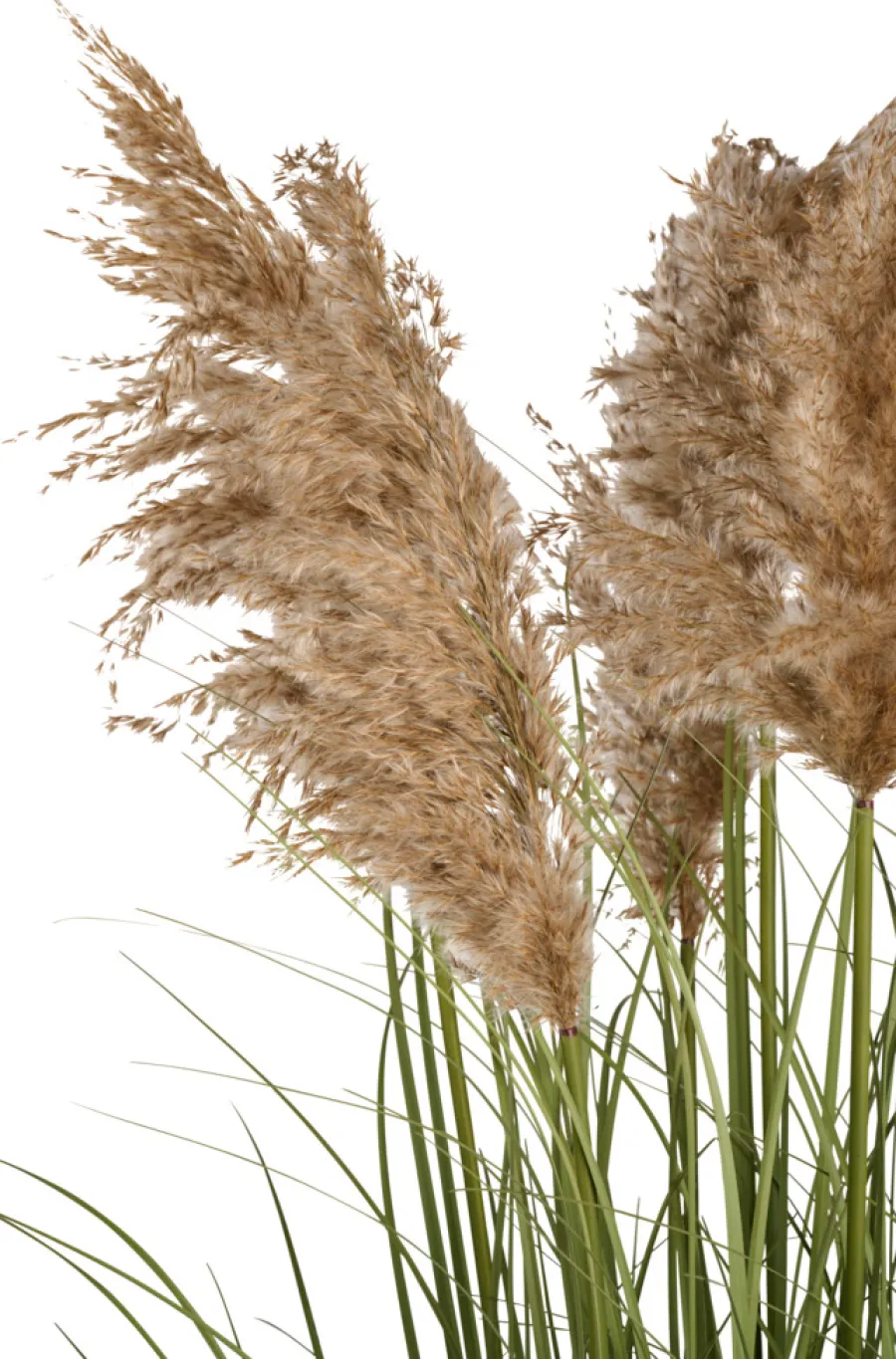 Sæsonafslutning|Kunstige Planter|Kunstgræs med ægte pampas 120 cm