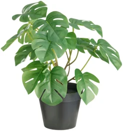 DAY Sæsonafslutning|Kunstige Planter|Kunstig monstera i potte H32 cm -