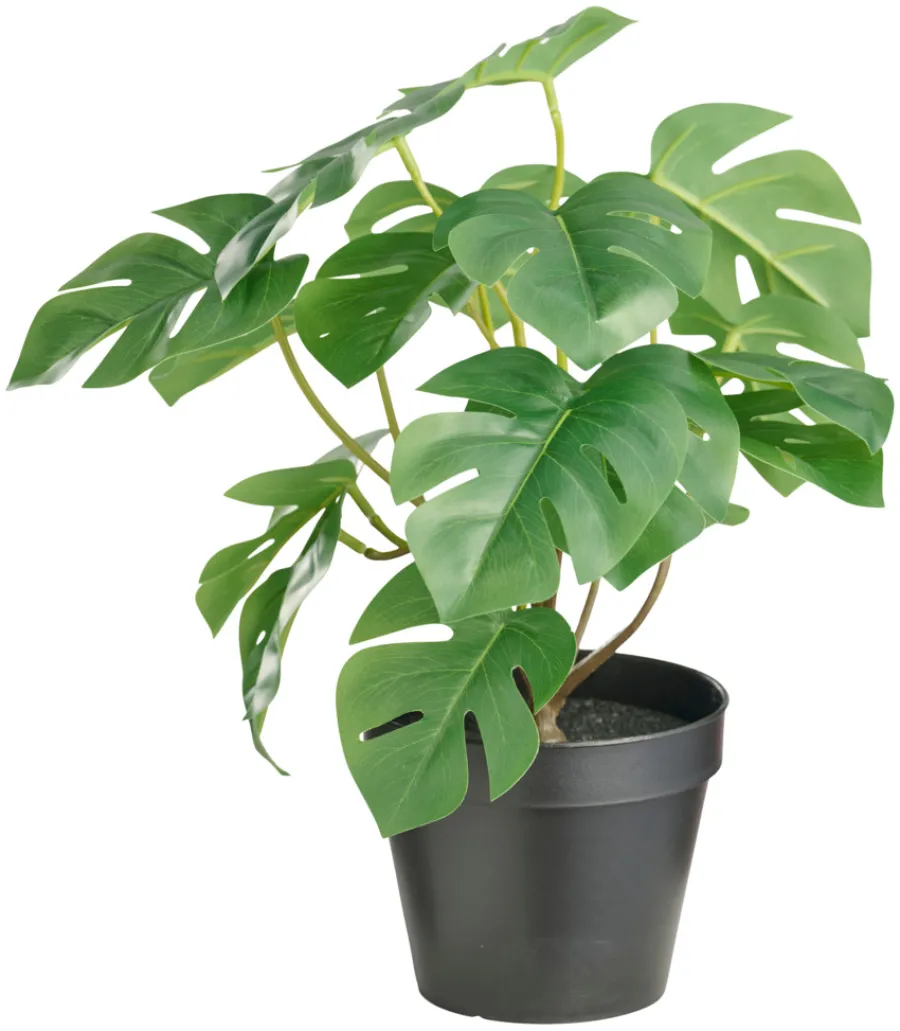 DAY Sæsonafslutning|Kunstige Planter|Kunstig monstera i potte H32 cm -