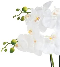 Sæsonafslutning|Kunstige Planter|Kunstig orkidé hvid 46 cm