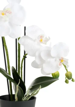 Sæsonafslutning|Kunstige Planter|Kunstig orkidé hvid 46 cm