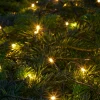 Stemning® Dekorativ Belysning - Udendørs|Lyskæde Basis 50 LED m/timer 4,9 meter
