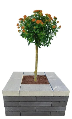 Betongruppen RBR Læ- & Støttemure|Murblok Nordic Wall grå 60 x 30 x 12 cm