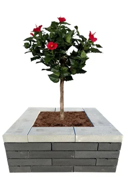 Betongruppen RBR Læ- & Støttemure|Murblok Nordic Wall koks 60 x 30 x 12 cm