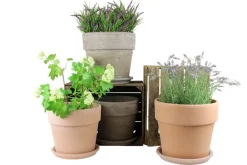 Scan-Pot Krukker|Potte Calima jord Ø31 cm
