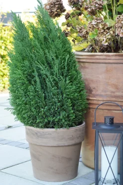 Scan-Pot Krukker|Potte Calima jord Ø31 cm