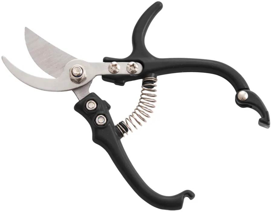 Garden® Beskæring|Rosensaks assorteret -