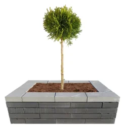 Betongruppen RBR Læ- & Støttemure|Topplade Nordic Wall grå 60 x 30 x 10 cm