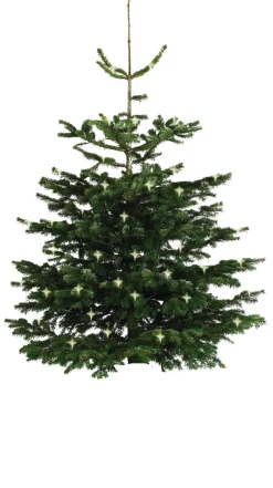 Scan-Pot Krukker|Planteborde & Højbede|Whiskytønde Ø64 cm